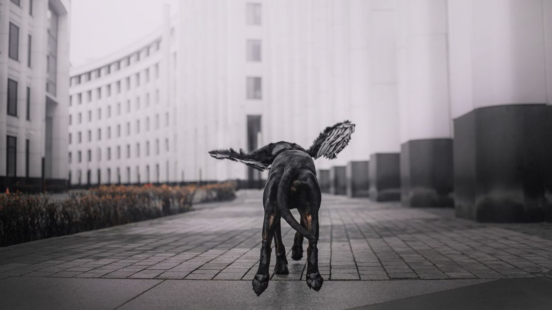 Is your experimentation program walking, running or flying?